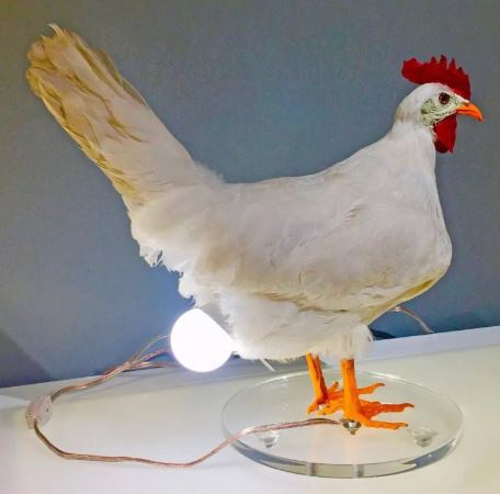 Cute Chicken-Shaped Decorative Table Lamp for Bedroom and Living Room, Unique Animal Night Light for Aesthetic Home Decor, Charming Bedside Nightstand Lighting, Creative Desk Lamp for Kids' Rooms, Cozy Ambient Illumination, Farmhouse Interior Decoration,
