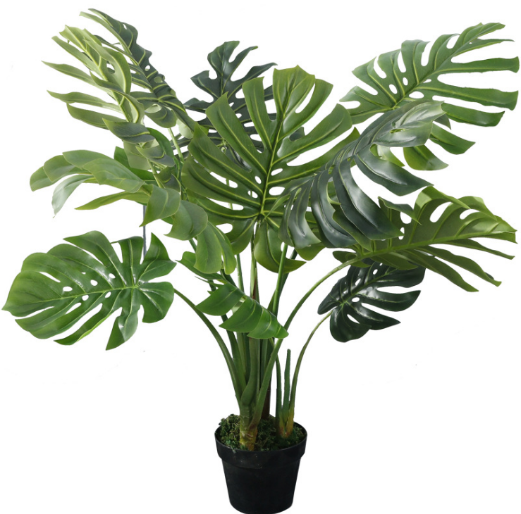Tropical Monstera Leaf Photography Prop Decor