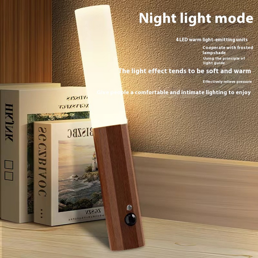 Motion Sensor Lamp
